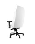 Studio - Bianco